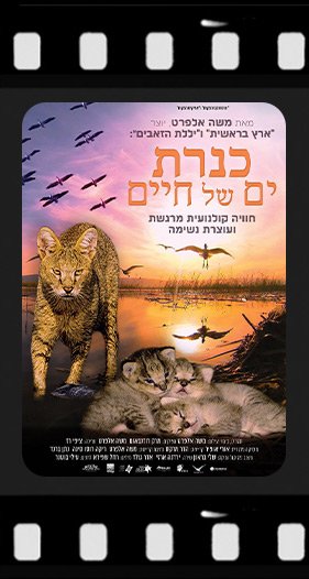 Documentary-Films_14